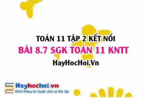 Bài 8.7 SGK Toán 11 Tập 2 Kết nối tri thức